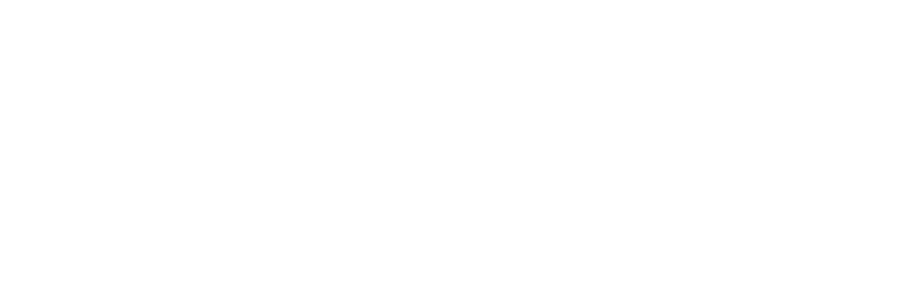 Vini Venetvaara